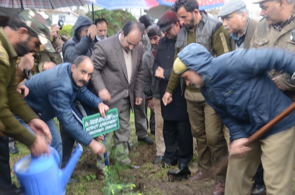 Plantation drive held at NIT